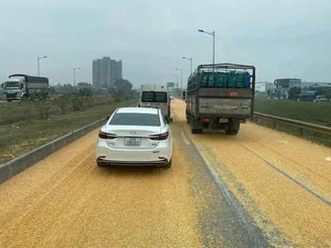 Xe đầu kéo bung chốt, 3 tấn ngô tràn xuống cao tốc Hà Nội – Thái Nguyên