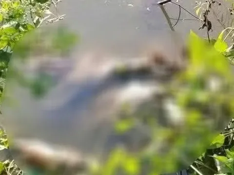 Phát hiện thi thể nữ giới dưới vuông nước, nghi bị sát hại