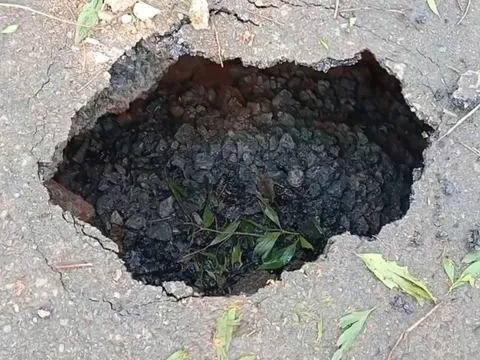 Điều bất thường xuất hiện giữa Quốc lộ 9B ở Quảng Trị