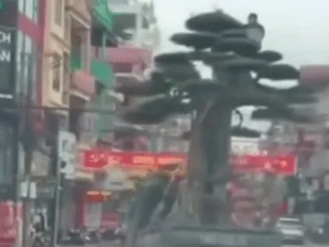 Cảnh sát xác định danh tính tài xế chở người và cây 'khủng' ở Ninh Bình