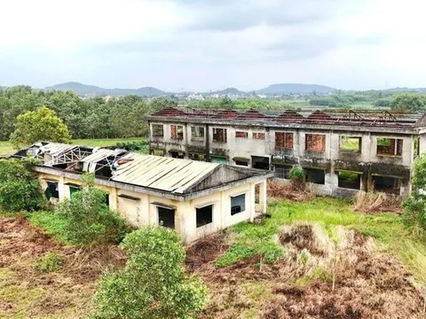 Trung tâm dạy nghề kiểu mẫu ở Quảng Ngãi bỏ hoang 11 năm, thanh tra chỉ ra nhiều sai phạm