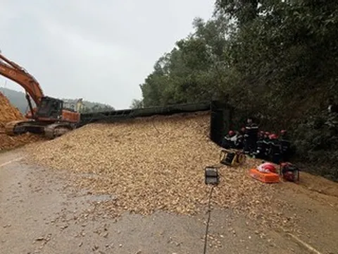 Thanh Hóa: Va chạm liên hoàn 3 ô tô, tài xế xe con tử vong