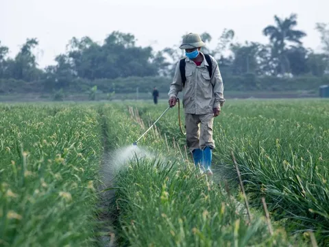 Điểm mới trong danh mục thuốc bảo vệ thực vật được phép sử dụng tại Việt Nam