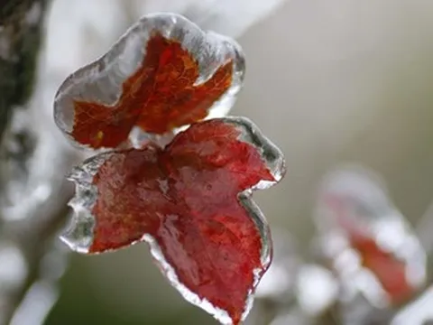 Dự báo thời tiết 5/1/2026: Đón không khí lạnh mới, miền Bắc lại chìm trong mưa rét