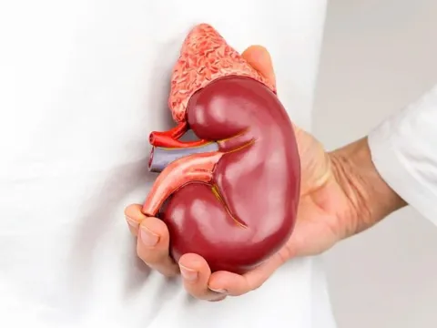 Các nguyên nhân dễ dẫn đến chứng bệnh suy thận