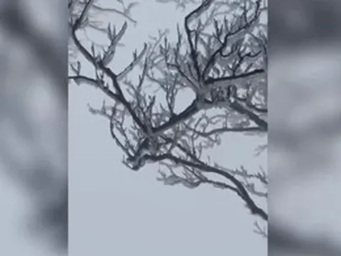 Cảnh tượng băng giá xuất hiện trên 'nóc nhà' thứ 2 của Cao Bằng