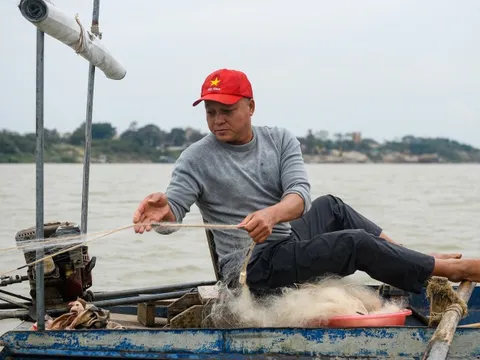 Thả lưới mưu sinh trên sông Hồng giữa giá lạnh 14°C