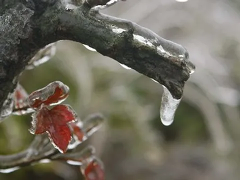 Không khí lạnh tràn sâu, miền Bắc rét đậm, có nơi dưới 3 độ