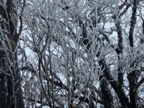 Không khí lạnh tăng cường, rét đậm lan rộng, nhiều nơi xuống dưới -3 độ C