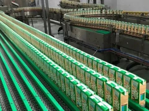 Chủ sữa Kun báo lỗ, cổ đông vẫn nhận cổ tức tiền mặt 75%