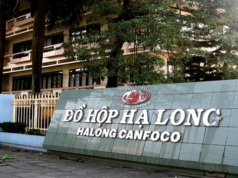 Vụ hơn 120 tấn thịt tả heo châu Phi tuồn vào nhà máy: Triệu tập lãnh đạo Công ty CP đồ hộp Hạ Long