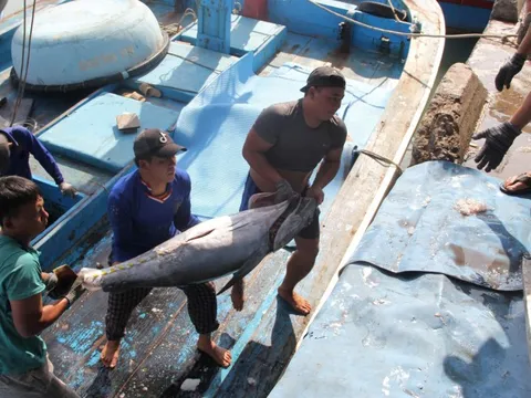 Mỹ cấm nhập 12 nhóm loài thủy sản: Nghề biển phải chuyển đổi, thích nghi