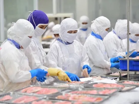 Ngành thủy sản tính năm nay khai thác và nuôi trồng trên 10 triệu tấn, xuất khẩu 11,5 tỉ USD