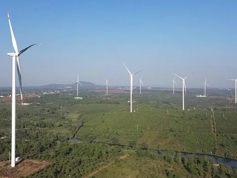 Ba dự án điện gió hơn 19.000 tỉ đồng tại Gia Lai được nhà đầu tư quan tâm
