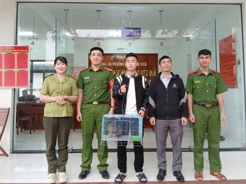 Thấy chim lạ rơi gần nhà, người dân tra cứu mới biết là chim quý