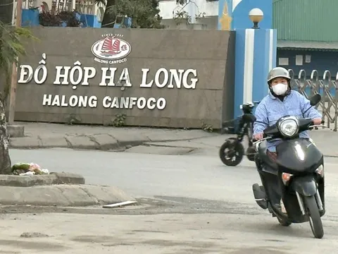 Vụ heo bệnh ở Công ty Đồ hộp Hạ Long: Khách hàng có thể yêu cầu bồi thường