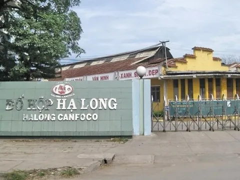 Bắt khẩn cấp Tổng Giám đốc Công ty Cổ phần Đồ hộp Hạ Long