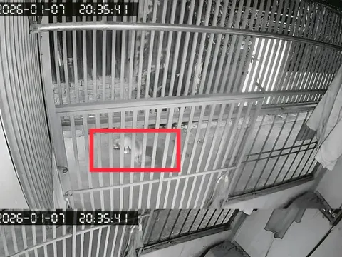 Khi hàng xóm thành... đối thủ