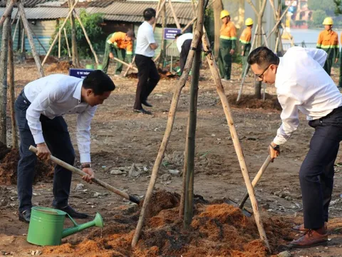 TPHCM phát động trồng cây xanh nhân Ngày Cây xanh Việt Nam