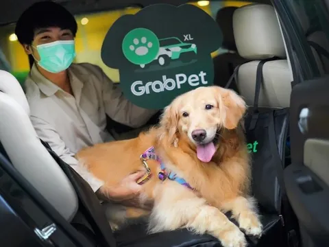 Grab thử nghiệm chở chó mèo, phụ phí từ 50.000 - 80.000 đồng/chuyến tại TP.HCM