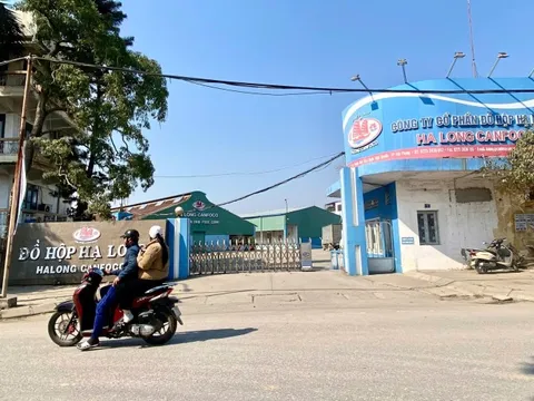 Vụ heo bệnh ở Công ty Đồ hộp Hạ Long: Cục Chăn nuôi và Thú y nói gì?