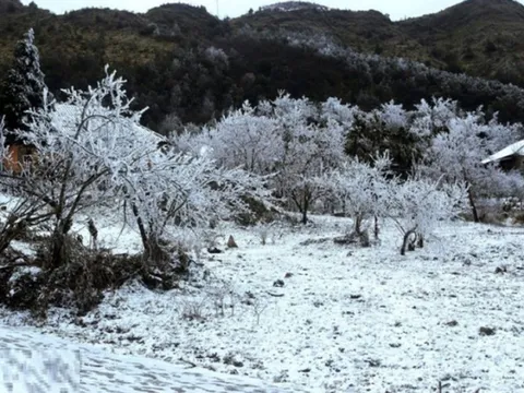 Dự báo thời tiết 12/1: Miền Bắc đón đợt không khí lạnh mạnh, nơi rét đậm nhất dưới 6 độ C