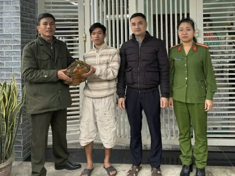 Người dân ở Đà Nẵng giao nộp con vật quý nặng 6,8 kg lạc trong vườn