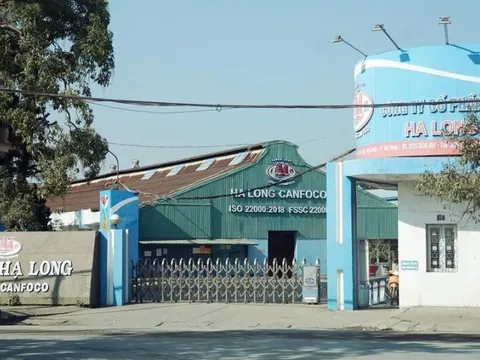 Nhà máy Đồ hộp Hạ Long - Hải Phòng tạm dừng sản xuất sau khi Tổng Giám đốc bị bắt