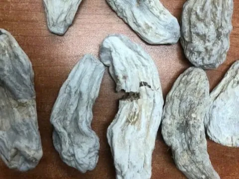 Bắt nhóm đối tượng lừa bán “thuốc gia truyền” giả cho bệnh nhân Bệnh viện 108