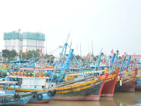 7 tỉnh, thành phía Nam phối hợp chặn khai thác IUU, ngăn tàu cá vượt biển trái phép