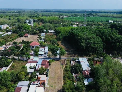 Khởi công tuyến chính cao tốc TPHCM - Mộc Bài tháng 4-2026