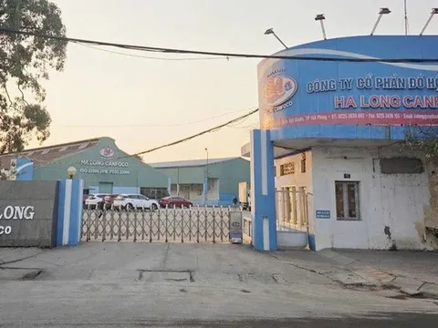 Khởi tố Tổng giám đốc Đồ hộp Hạ Long liên quan 130 tấn thịt nhiễm dịch tả lợn châu Phi