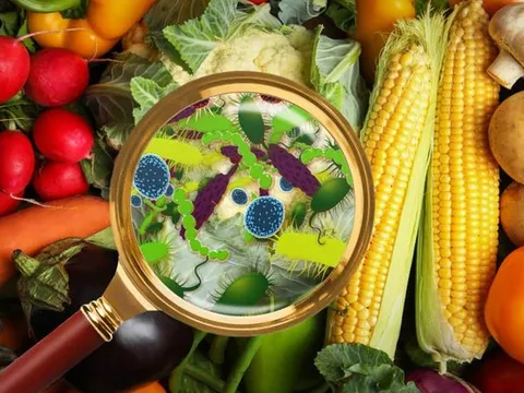 Bộ Y tế yêu cầu kiểm tra khẩn bếp ăn nhà hàng tiệc cưới sau phản ánh vi phạm vệ sinh