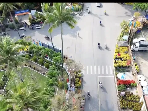 Dời chợ hoa xuân vào lại trung tâm Hội An, chính quyền miễn phí để dân vào buôn bán