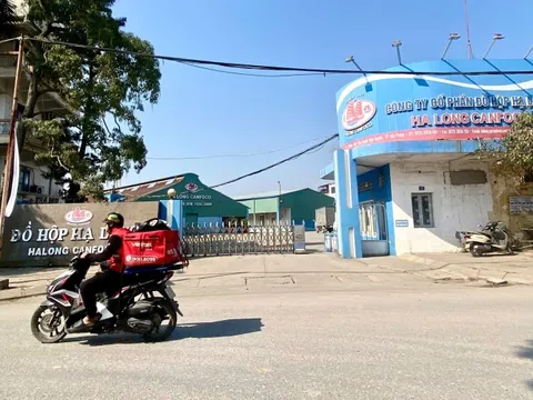 Vụ heo bệnh ở Công ty Đồ hộp Hạ Long: Sở Nông nghiệp và Môi trường Hải Phòng báo cáo gì?