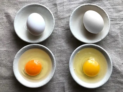 Đập trứng gà lòng đỏ đậm và nhạt khác nhau: Chuyên gia tiết lộ "3 nhớ 2 không" để chọn trứng tốt nhất