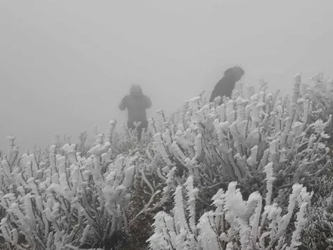 Miền Bắc đón "tin vui" thời tiết trước khi đợt không khí lạnh cường độ rất mạnh về rét buốt