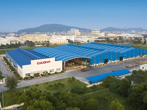 CADIVI đạt chứng nhận TUV Rheinland cho dòng dây điện không chì