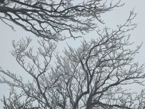 Miền Bắc đón đợt gió mùa Đông Bắc cường độ mạnh khiến "rét chồng rét"