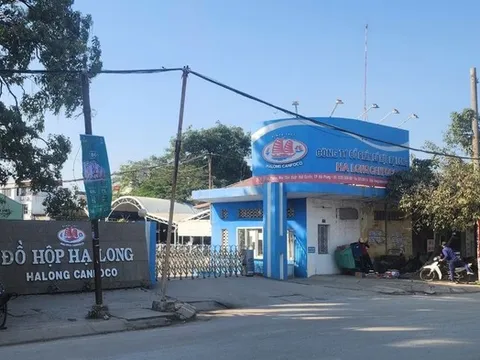 Vụ Công ty CP đồ hộp Hạ Long: Bắt nữ nhân viên kiểm dịch