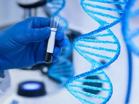 Bất ngờ gene bảo vệ người trẻ 'phản chủ' lúc về già