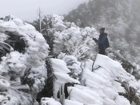 Dự báo thời tiết 17/1: Không khí lạnh tăng cường tràn về, miền Bắc rét đậm