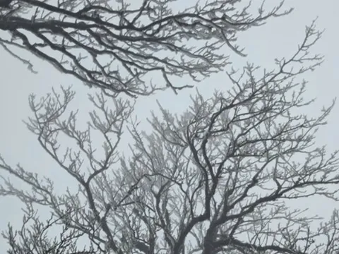 Miền Bắc rét đậm khi đón đợt không khí lạnh cường độ mạnh trên diện rộng