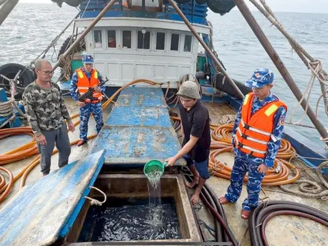 Bắt giữ tàu cá chở dầu trái phép trên biển