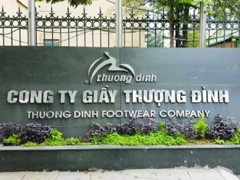 Diễn biến mới tại Giày Thượng Đình sau khi nữ đại gia bí ẩn sở hữu gần 69% vốn