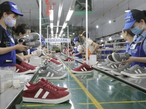 Giày Thượng Đình có CEO mới từ Vinaconex