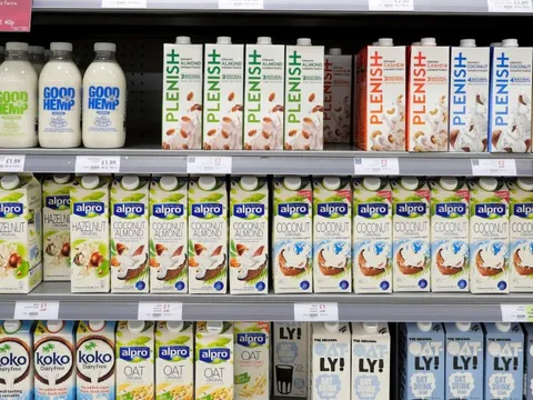 Dùng sữa thực vật thay sữa động vật làm giảm chỉ số IQ của người uống?