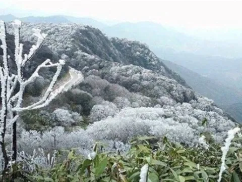 Dự báo thời tiết 18/1: Miền Bắc sắp đón không khí lạnh cực mạnh, dự báo ngày rét đậm nhất