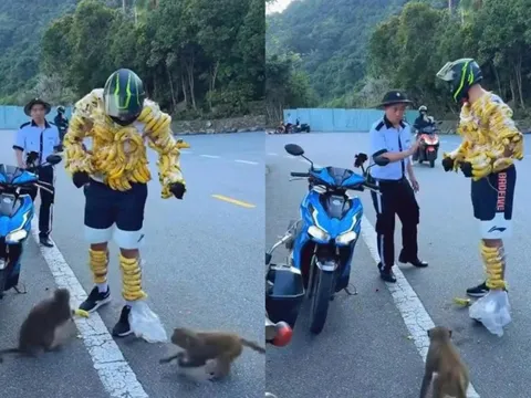 Xôn xao mạng xã hội: Du khách nước ngoài quấn chuối quanh người để “hút” khỉ ở Sơn Trà