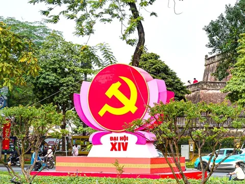 Thích ứng trong biến động toàn cầu